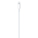 Cable APPLE  de USB-C a conector Lightning (1 m) (2)