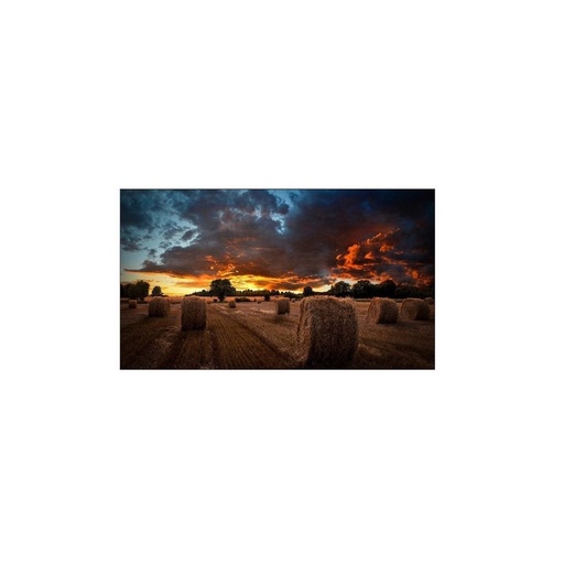 [LH55VMBUBGBXGO] Monitor Industrial SAMSUNG 55 Pulgadas Ultraestrecho